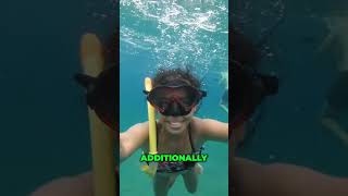 🤩 Discover the Top Features of an Affordable Snorkeling Mask [upl. by Ahserkal]