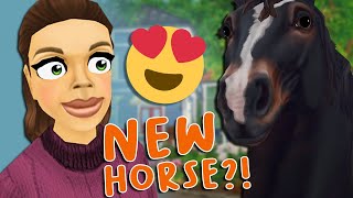 NEW Percheron Horse  SPOILER  Star Stable Online [upl. by Ecirtak]