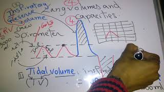 Respiratory new system Lung volumes and Capacities part 1 dr mohamed fayez [upl. by Blythe]