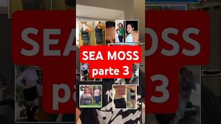 SEA MOSS Parte 33 TIROIDES ALTAPRESION DIABETES OBESIDAD seamoss beneficios algasmarinas [upl. by Deonne668]