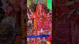 baikunth dham camp 2 Mata Durga 🙏 Jai mata di [upl. by Curhan]