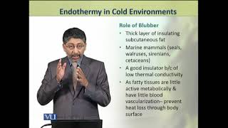 Endothermy in Cold Environments  Animal Physiology and Behavior Theory  ZOO502TTopic227 [upl. by Bright]