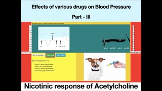 Nicotinic Action of Acetylcholine Effect of Drugs on BP ExPharm  Pharmacology Part III [upl. by Novyad]