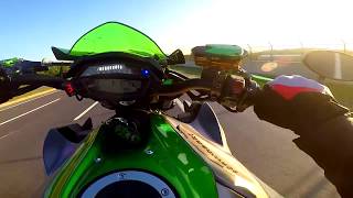 Kawasaki Z1000 vs MT09 [upl. by Campball189]