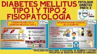 FISIOPATOLOGÍA DE LA DIABETES MELLITUS TIPO 1 Y TIPO 2  GuiaMed [upl. by Konopka]