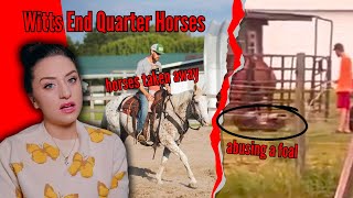 The Most Hated Horse Farm On The Internet [upl. by Ecirbaf510]