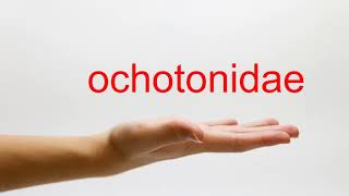 How to Pronounce ochotonidae  American English [upl. by Zorina230]