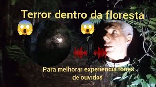 Ruim 😱 foi lá dentro da floresta😱 [upl. by Ahsinel]