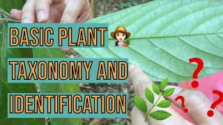 EP 2 Plant Taxonomy and Identification [upl. by Kale584]