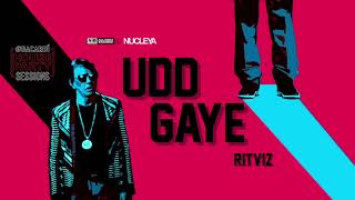 Ritviz  Udd Gaye Instrumental [upl. by Asiul]