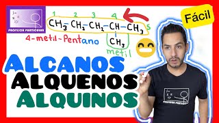 ✅ALCANOS ALQUENOS Y ALQUINOS  𝙄𝙙𝙚𝙖𝙡 𝙥𝙖𝙧𝙖 𝘼𝙋𝙍𝙀𝙉𝘿𝙀𝙍 😎​🫵​💯​ Química ORGÁNICA [upl. by Epuladaug707]