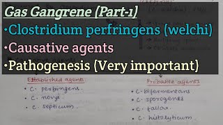 Gas gangrene Part1  Causative agents  Pathogenesis of gas gangrene [upl. by Nwahs]