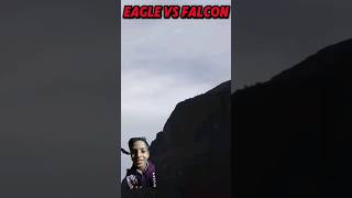 EAGLE VS FALCON SPEED eagle falcon speed viralshorts [upl. by Ariada599]