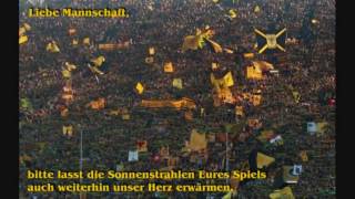 BVB Lied  So sehen Sieger aus [upl. by Brandice]