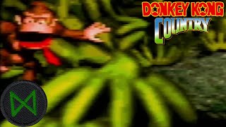 Making Me Look Stupid  Donkey Kong Country 4 [upl. by Phillis]