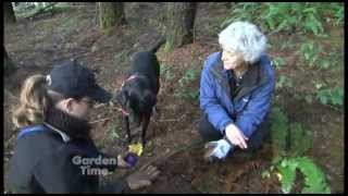 Truffle Hunting [upl. by Annamaria]