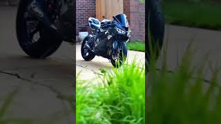 ninja zx6r black kawasaki 😳😱viralvideo shorts zx6r [upl. by Monteith320]