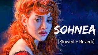 Sohnea Slowed and Reverb  Miss Pooja Millind Gaba  Punjabi lofi Songs  ChillBeats Textaudio [upl. by Iztim]