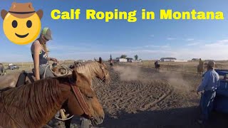 Calf Roping at the Moullet Ranch in Huntley Montana RV Travel EP6 [upl. by Kubiak602]