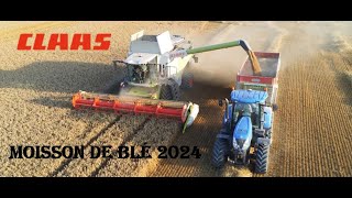 Moisson Blé 2024 avec une LEXION 6600 dans la marne [upl. by Enehs183]