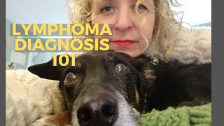 What We Did When Our Dog Got Lymphoma Diagnosis Reaction  Canine Lymphoma Vlog Part 1 [upl. by Neehcas]