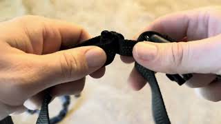 Iyoshop HandsFree Dog Leash Review Waist Measurements Length Usage amp Testing [upl. by Squire]