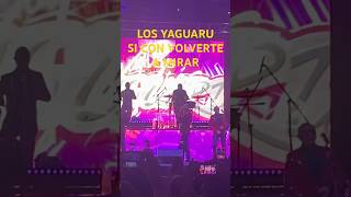 LOS YAGUARU Si Con Volverte A Mirar concierto yaguaru [upl. by Starks]