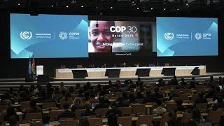 Leredità della Cop29 di Baku una nuova era per la finanza climatica o troppo poco e troppo tardi [upl. by Airotciv891]