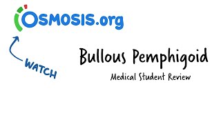 Bullous Pemphigoid Osmosis Study Video [upl. by Arres597]