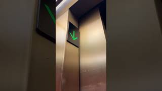 A Very Normal Otis Elevator Chime otiselevator [upl. by Alyse]