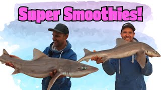 Super Smoothies [upl. by Epilihp]