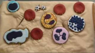 Blood Cell BakeryIntroduction [upl. by Koziel]