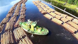 Transporting Timber on the River  Amazing Wood Logging and Transportation Process Inquisitive World [upl. by Idisahc469]