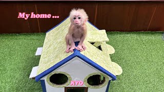 Baby monkey Kyo was surprised because Dad personally made a beautiful Villa house [upl. by Monson733]