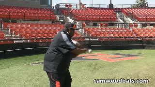 CamWood Bats  Tony Gwynn Approach to Hitting [upl. by Sarazen628]