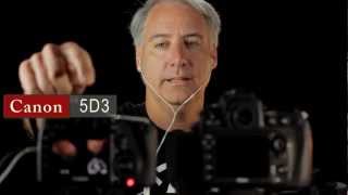 Nikon D800 vs Canon 5D Mark III Which Has The Quietest Preamp [upl. by Aeet]