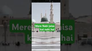 Hamare nabi jaisa koi nahi hai 🌹♥️shorts trending viral shortsfeed islamicstatus islamicquotes [upl. by Ynoyrb]