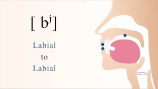 bʲ  voiced unaspirated palatalized bilabial stop [upl. by Pennington17]