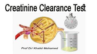 Creatinine Clearance Test تحليل استخلاص الكرياتينين [upl. by Delgado]