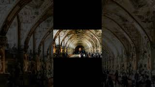 Munich Residenz Museum travel traveling germany [upl. by Cyrie]