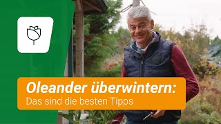 🥶 Oleander RICHTIG überwintern Diese Tipps sind wichtig ❗️ [upl. by Sybille]