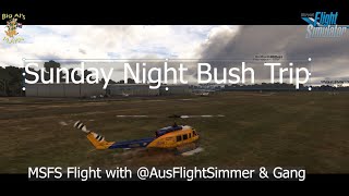 Microsoft Flight Simulator  Bush Flight in UPDATED WB SIMS CESSNA 172 with ausflightsimmer [upl. by Ainer]