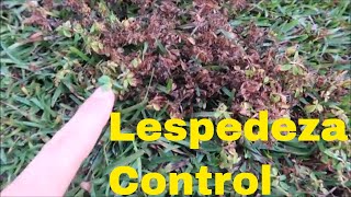 Weed Control for Lespedeza in the Lawn [upl. by Yecnay]