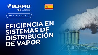 Eficiencia en Sistemas de distribución de Vapor  Aula Bermo  ARI Armaturen [upl. by Eydnarb]