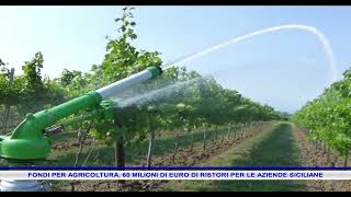 FONDI PER AGRICOLTURA 60 MILIONI DI EURO DI RISTORI PER LE AZIENDE SICILIANE [upl. by Aerdnad883]