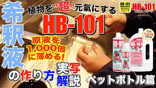 植物活力液HB101 希釈液の作り方を実写で分かりやすく解説 ！【ペットボトル篇】 [upl. by Belloir984]