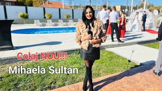 Mihaela Sultan  Trece badeal meu falos  Colaj Hore  LIVE  Cel mai tare colaj de petrecere 2024 [upl. by Trace476]