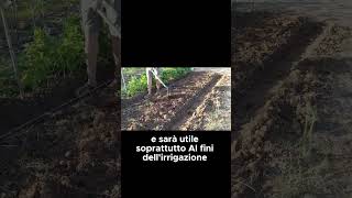 Come fare il livellamento della BAULATURA   GUARDA IL VIDEO COMPLETO shorts [upl. by Kristen347]