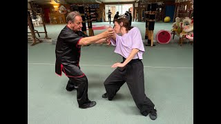 Grandmaster Walter Toch in action with Chinese Martial Arts [upl. by Anoyet]