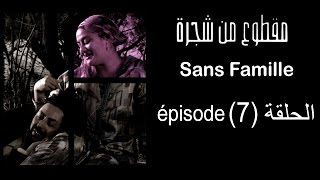 MA9TOU3 MEN CHAJARA SANS FAMILLE Épisode مقطوع من شجرة الحلقة 7 [upl. by Annawot]